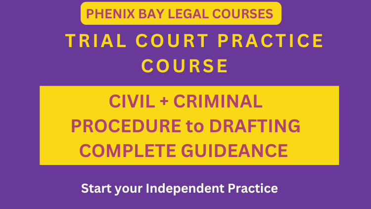 Trial Court Practice and Drafting Course Image