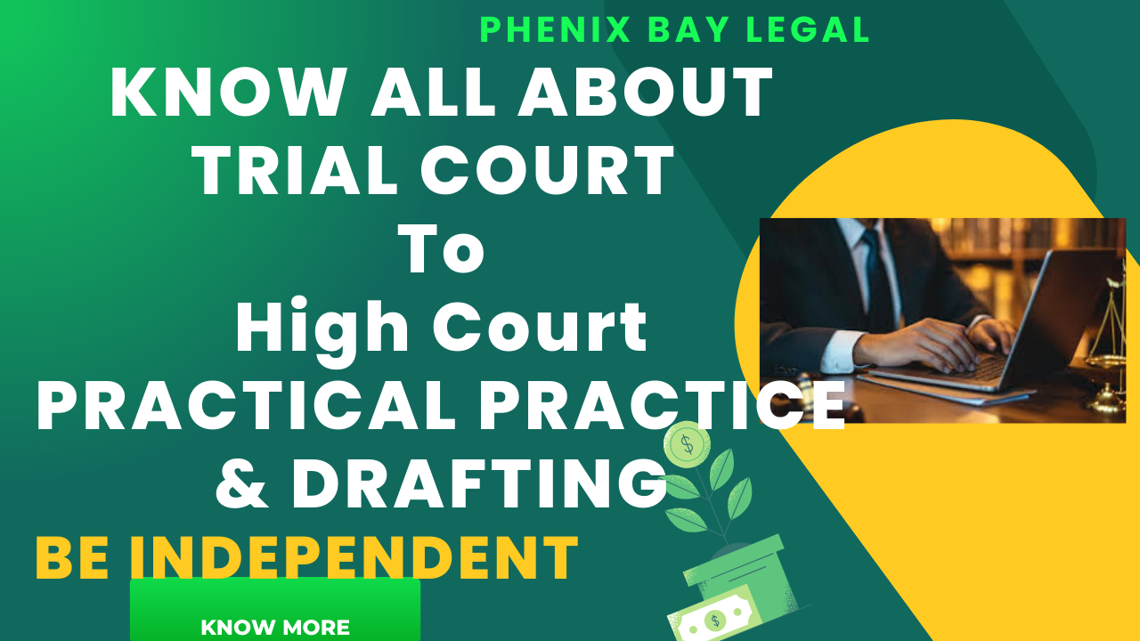 Comprehensive Trial Court Legal Practice and Drafting Skills Course Image