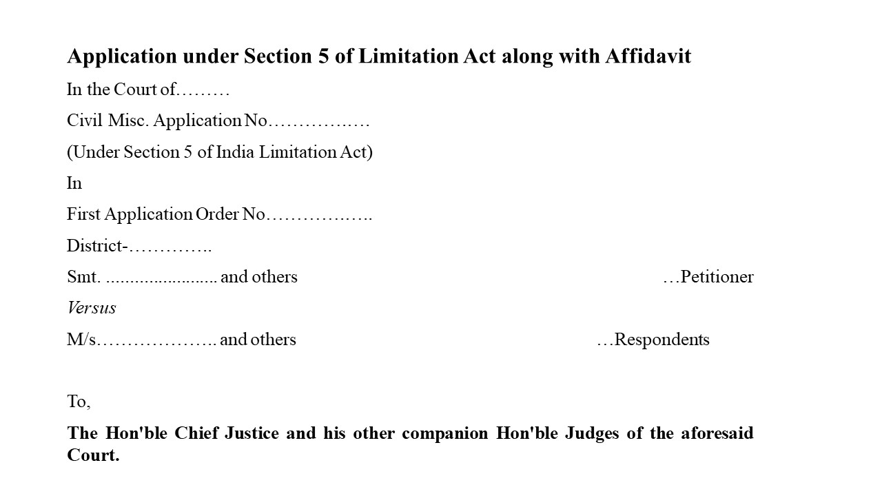 Format for Section 5 Petition of Limitation Act for High Court Image