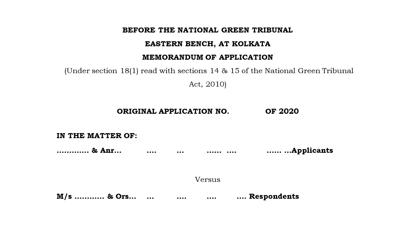 Format of National Green Tribunal Main Petition Image