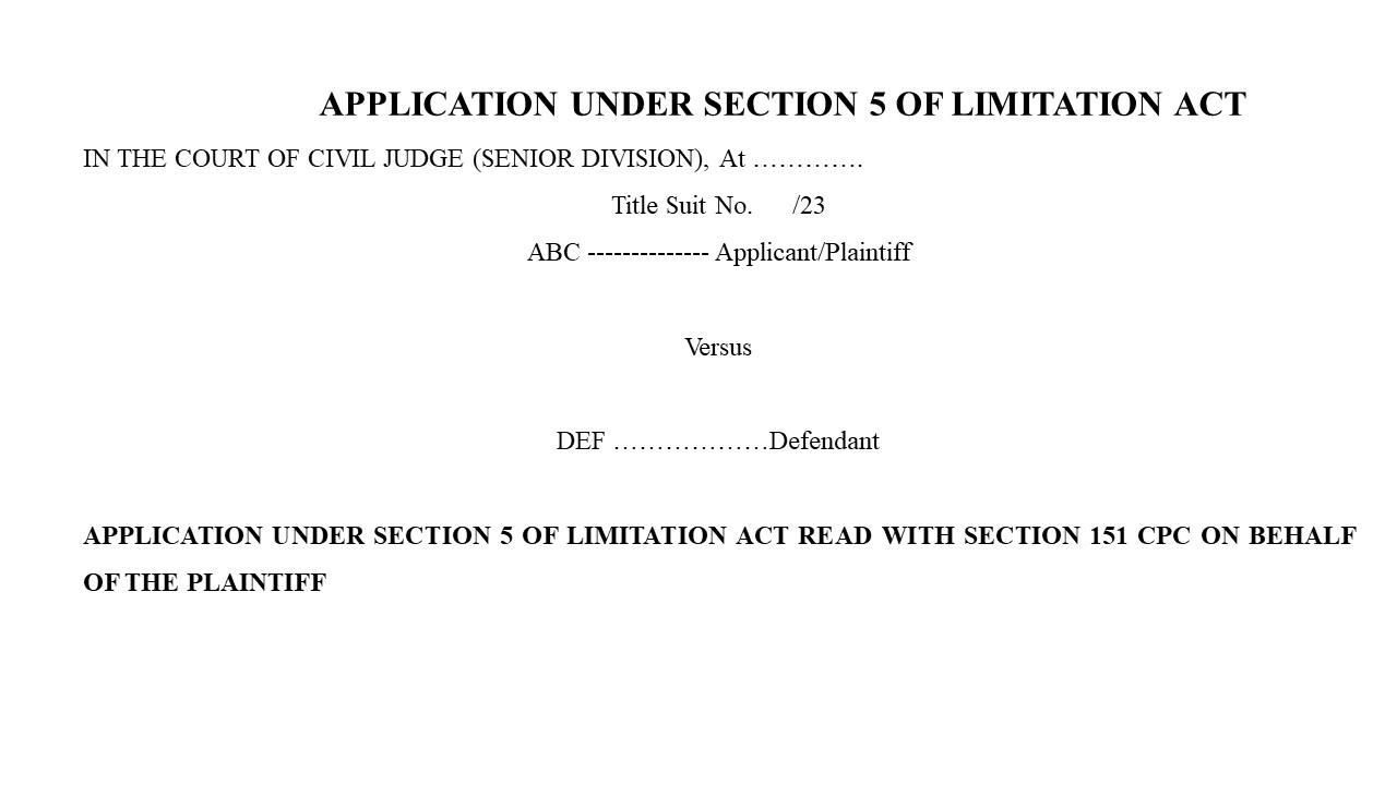 Format for Section 5 Limitation Act Petition Image